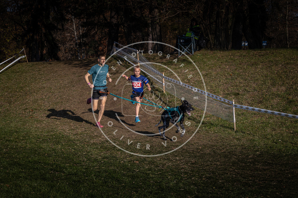 CaniXpix_0L8A8285 | Hundefotografie, Tierfotograf, Pfotenfotografie, Fotoshooting Hund, Hunde Portrait, Hundesport, Hundeportraits, Heideshooting, Hunde, Sportfotograf, Hundefotograf, Turnierhundsport, THS,  - Realisiert mit Pictrs.com