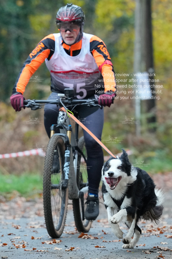 AusschnitteSo-40 | stephaniefillaphotographie - Realisiert mit Pictrs.com