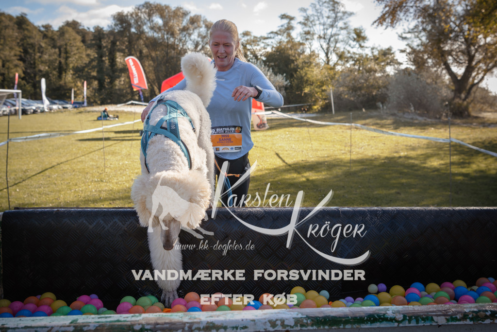 1203_ZZ94370 | kk-dogfotos