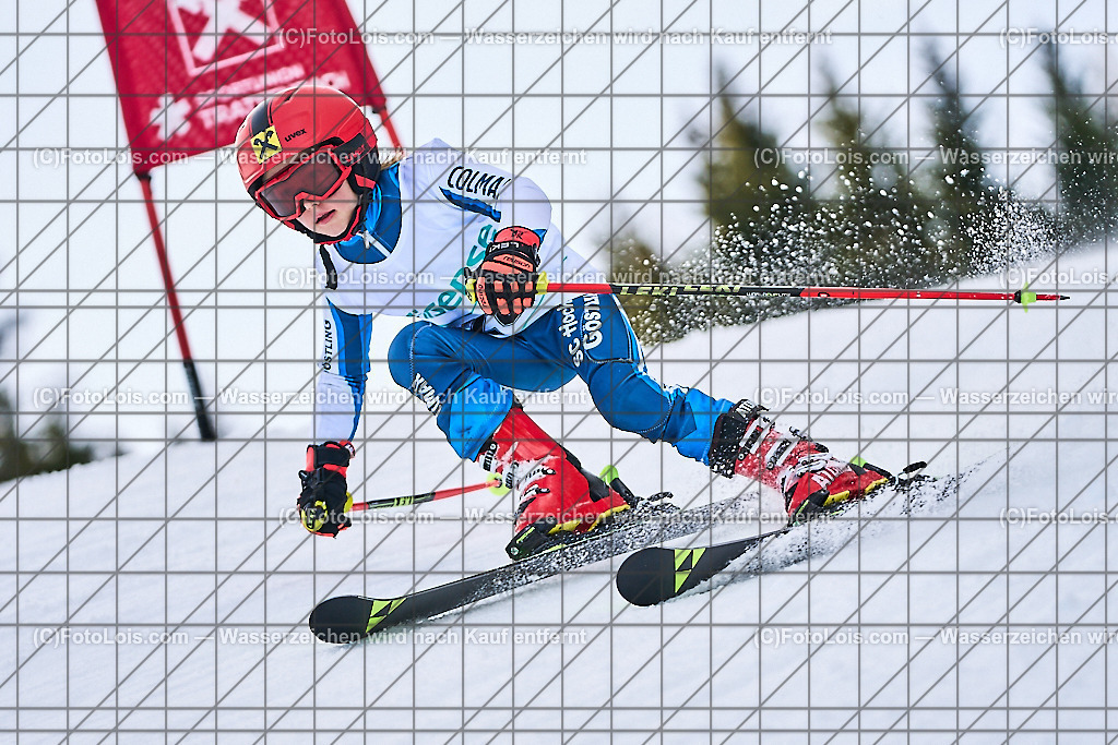 ALP3997_KinderVergleich-RTL-II_Trattenbach_Stalzer Elias Jonathan | NÖ Landeskindervergleichskampf-Riesentorlauf auf dem Feistritzsattel in zwei Durchgängen, Sa 25. Jänner 2025.