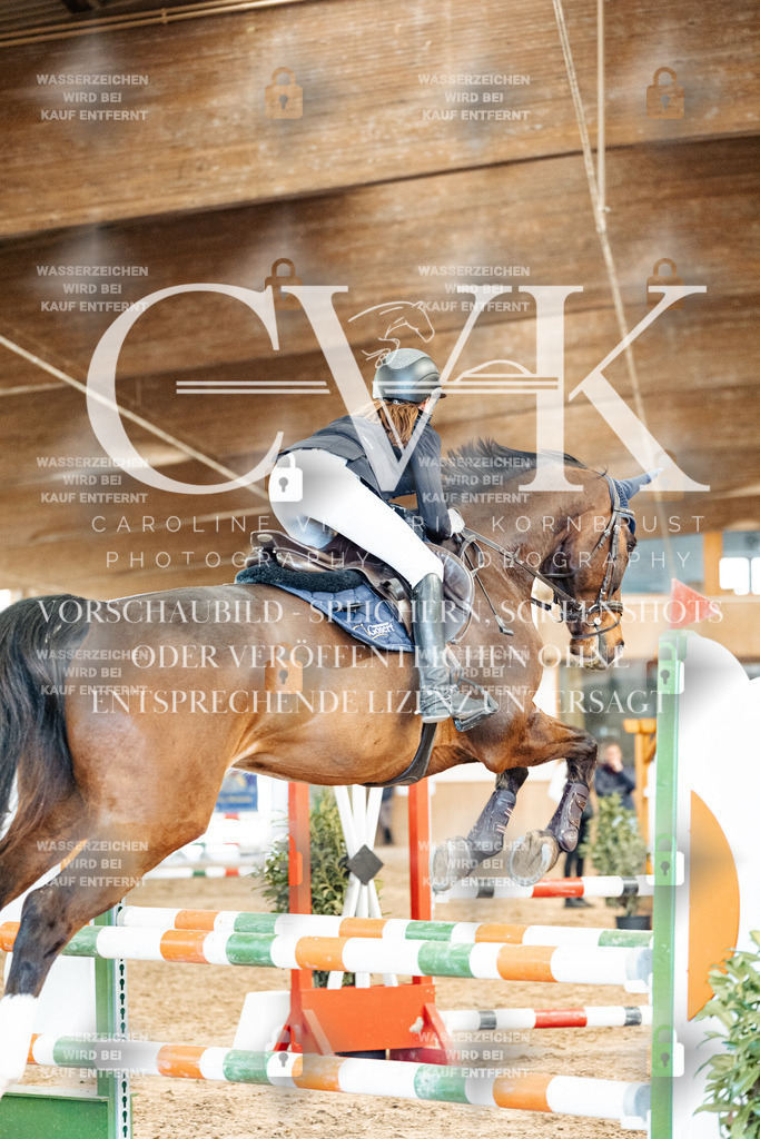 CK905200 | Turnierfotografie Pferdefotografie Trier Rheinland-Pfalz Pferdesport Reitsport Tierfotografie Sportfotografie Pferdevideo Pferdevideografie Equestrianvideography equestrianphotography  - Realisiert mit Pictrs.com