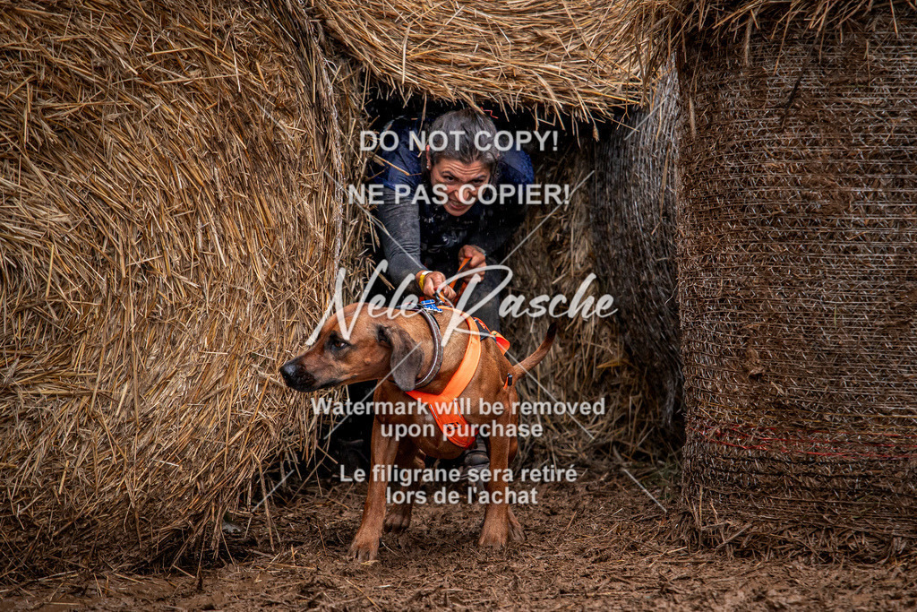 nelerasche_Hunsrück_So09-11_139 | nelerasche