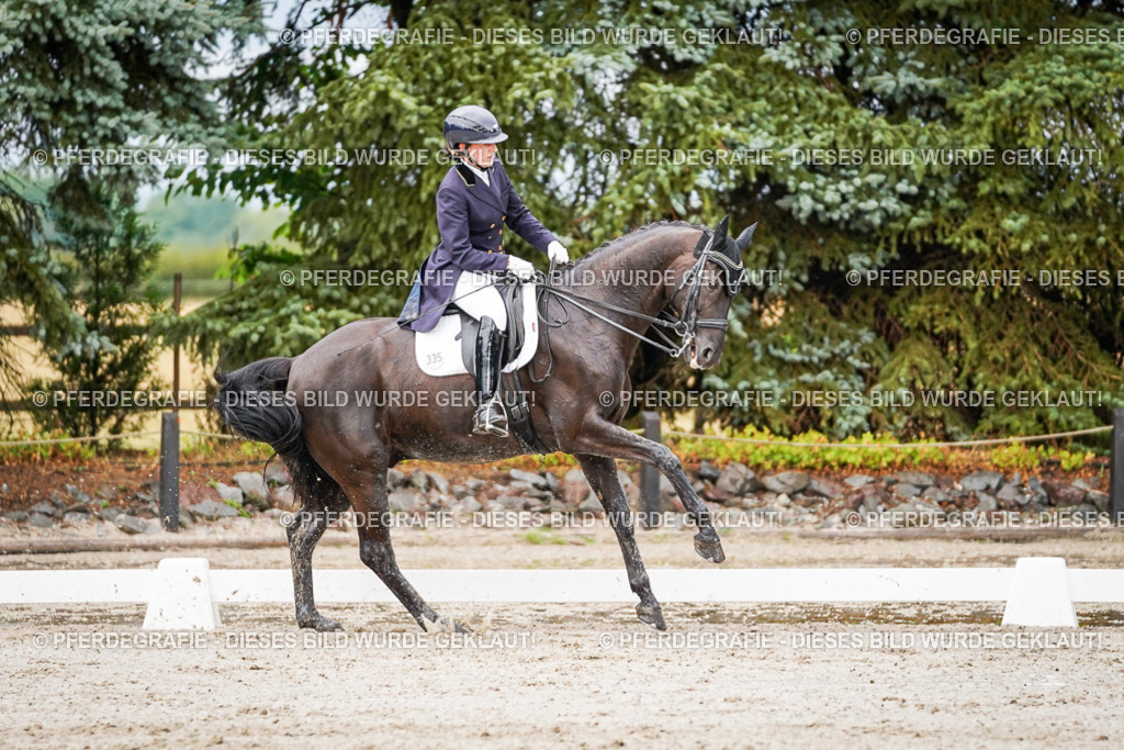 DSC09923 | Pferdegrafie