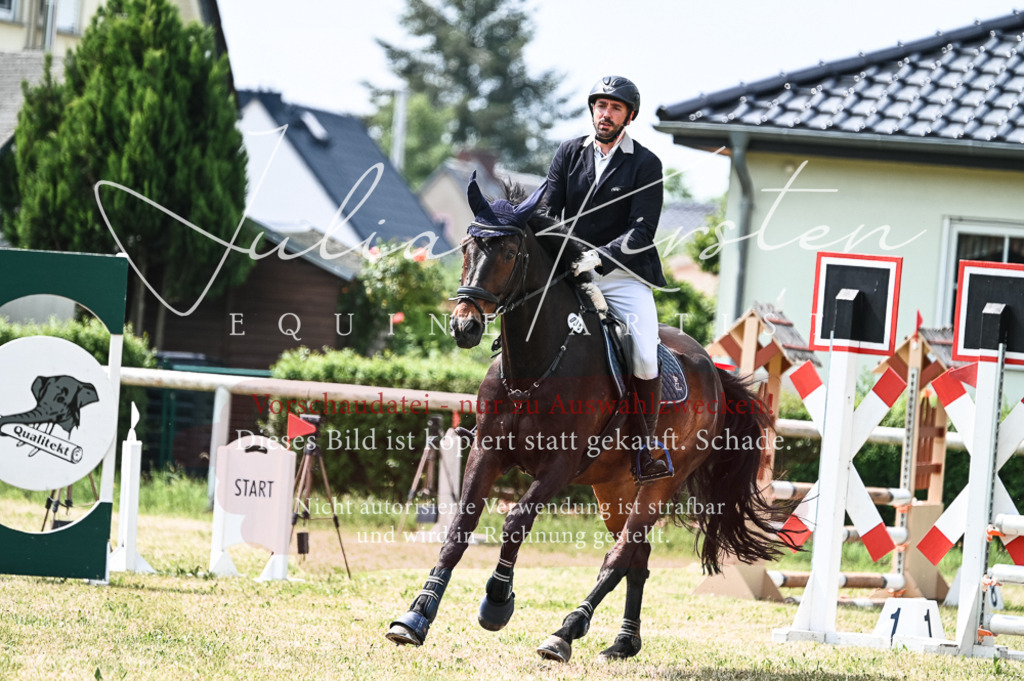 DSC_8902 | Pferde- und Turnierfotografie in Westsachsen. Pferdeportraits, Auftragszeichnungen und intuitive Kunst.