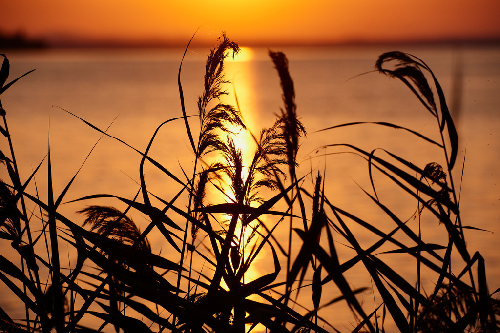 Abendlicht am Lago Trasimeno | San Feliciano, Italien - August 29, 2016: Abendlicht am Lago Trasimeno. - Realisiert mit Pictrs.com