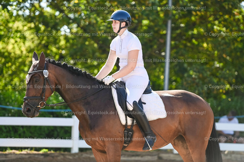 20230715_06_Dressurpferdeprfg. Kl.A_0293 | equistock