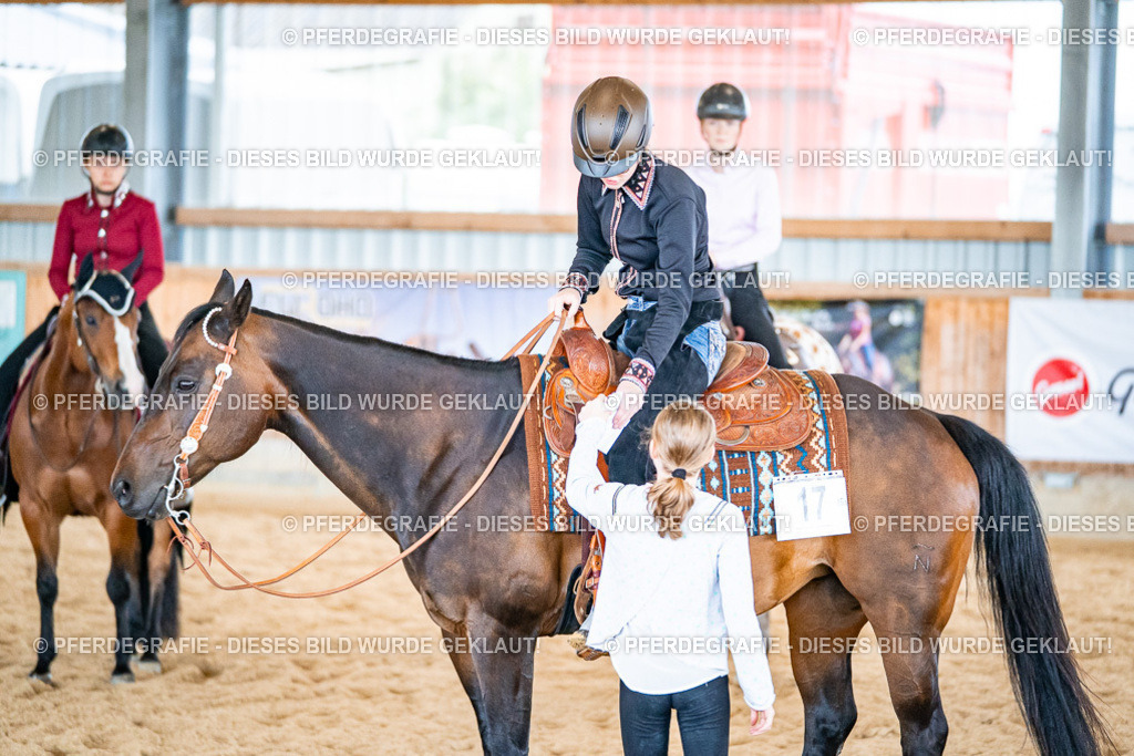 DSC02743 | Pferdegrafie