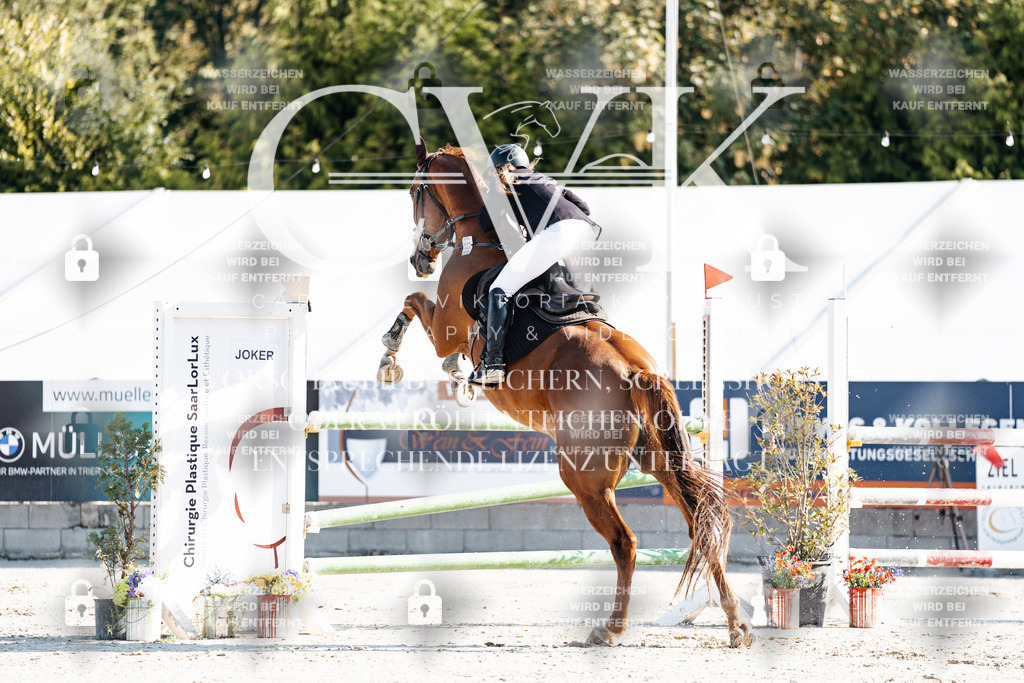 CK901691 | Turnierfotografie Pferdefotografie Trier Rheinland-Pfalz Pferdesport Reitsport Tierfotografie Sportfotografie Pferdevideo Pferdevideografie Equestrianvideography equestrianphotography  - Realisiert mit Pictrs.com