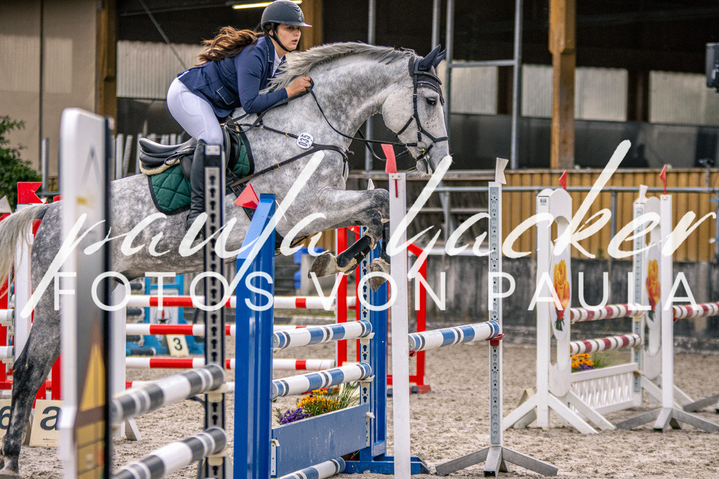 IMG_4870 | Erleben Sie dynamische Sport- und emotionale Tierfotografie in Süddeutschland mit Fotos von Paula. Spezialisiert auf Pferde- und Hundefotografie sowie Sportevents. Kontaktieren Sie mich für einzigartige und ausdrucksstarke Bilder Ihrer besonderen Momente. - Realisiert mit Pictrs.com