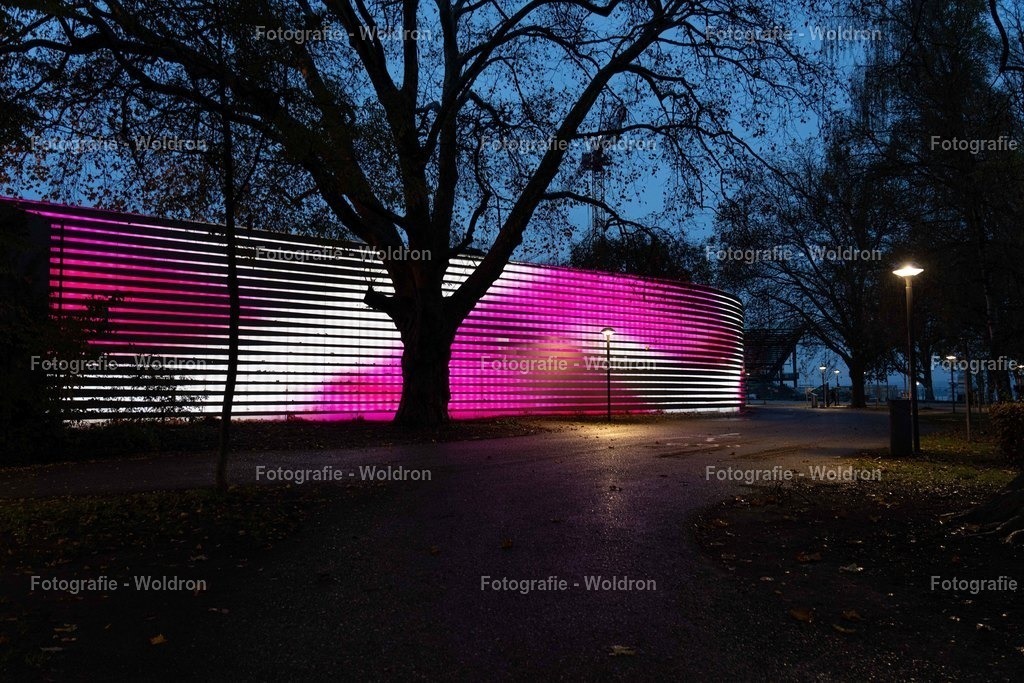 20221109 Bregenz-20 | Fotografie Woldron
