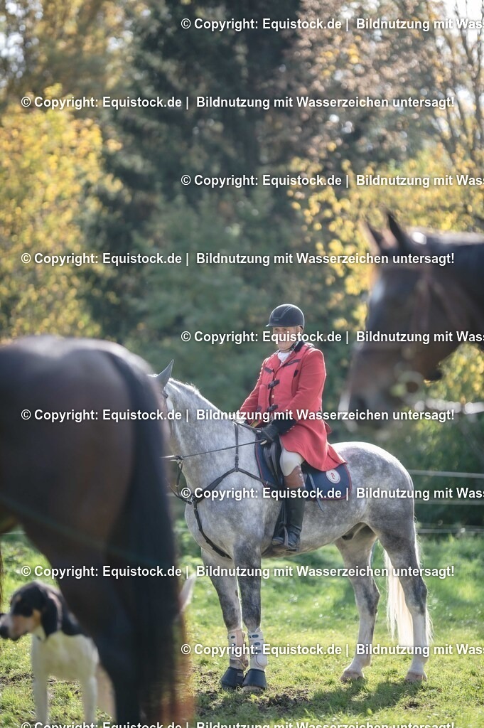 20251011_Jagd-Marbach_0152 | Foto: Thomas Hartig