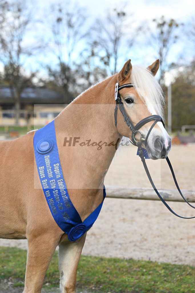 Kat-Nr. 7 Daria v. Armani Ass_Obermaier_60221390 | hf-fotografie - Realisiert mit Pictrs.com