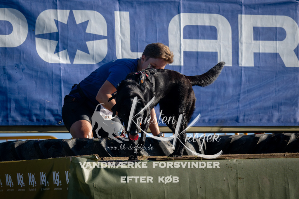 0845_ZZ94914 | kk-dogfotos