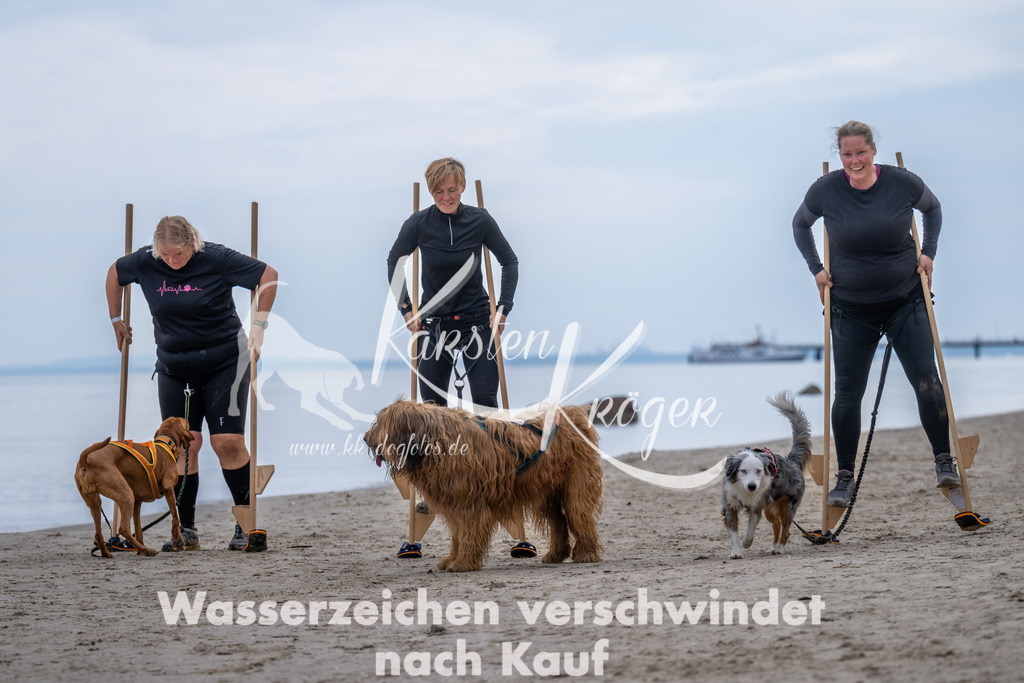 1221_ZZ91169 | kk-dogfotos