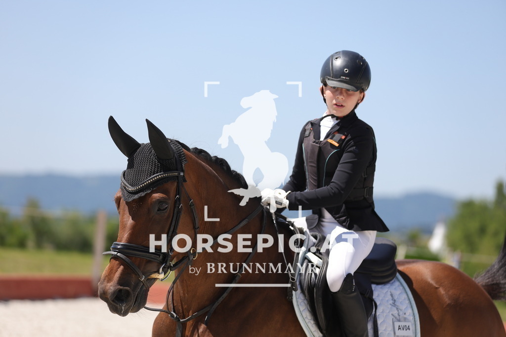 0P6A8590 | Willkommen bei Brunnmayr - Design & Fotografie – Ihrem Spezialisten für Reitturniere und Pferdeveranstaltungen in Oberösterreich, Salzburg und Bayern! Seit über 17 Jahren sind wir leidenschaftlich dabei.