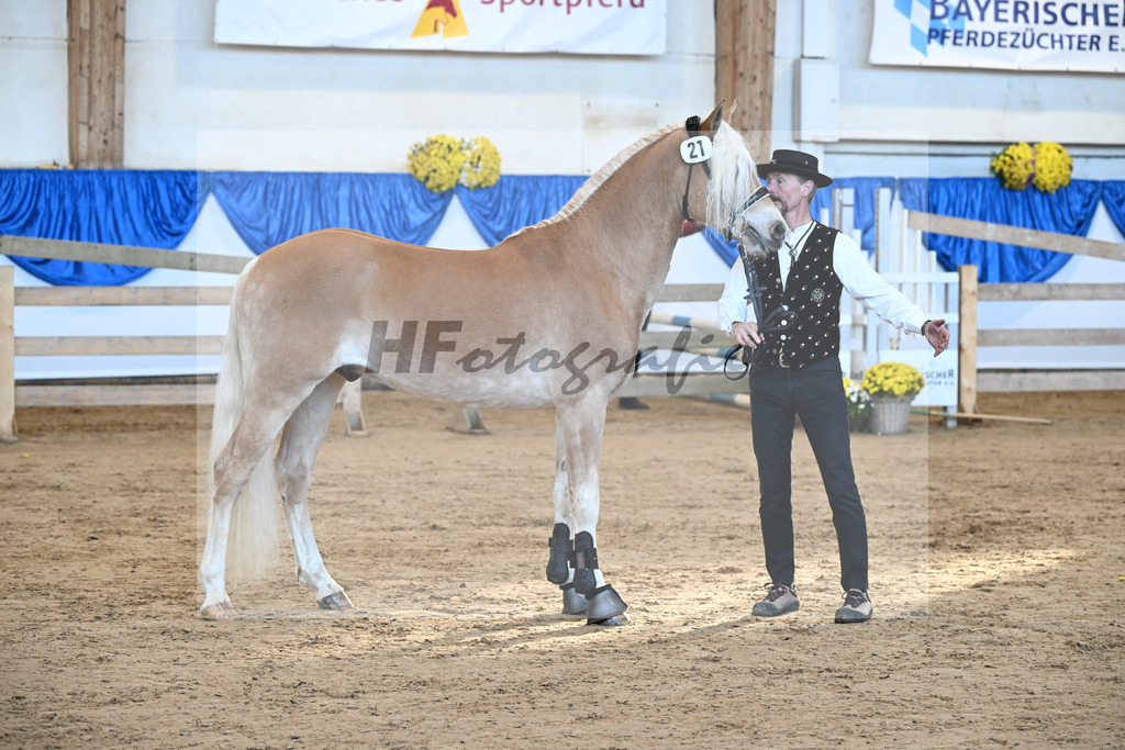 Kat-Nr. 21 nn v. Barion_Stecher_48250417 | hf-fotografie - Realisiert mit Pictrs.com