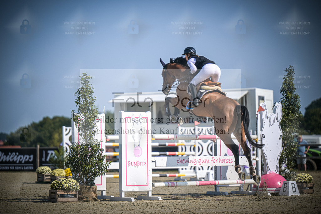 DOS_2480 | Entdecke hochwertige Reitturnierfotos von Foto Oger. Professionell, emotional und authentisch – jetzt Lieblingsmomente im Shop bestellen. - Realisiert mit Pictrs.com