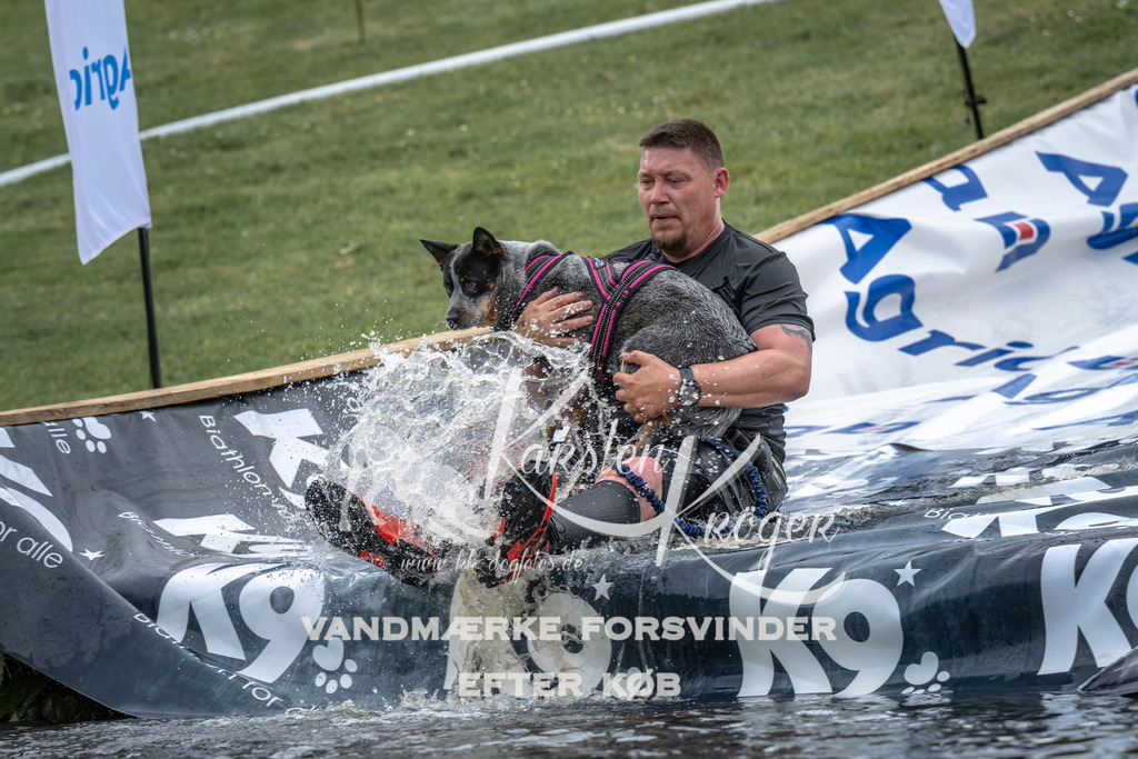 1556_ZZ96964 | kk-dogfotos