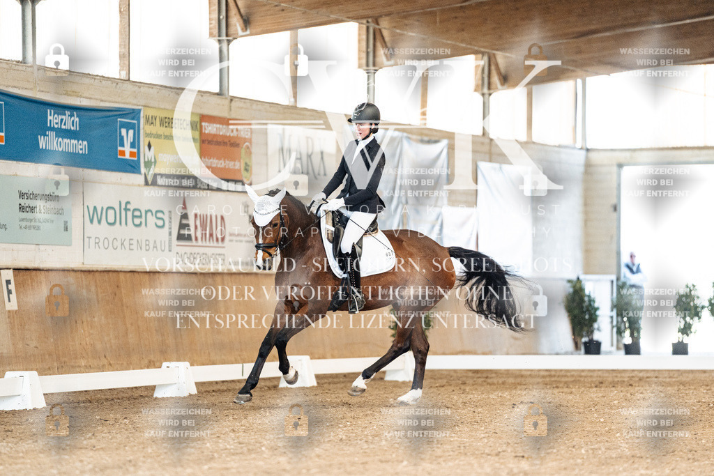 CK900690 | Turnierfotografie Pferdefotografie Trier Rheinland-Pfalz Pferdesport Reitsport Tierfotografie Sportfotografie Pferdevideo Pferdevideografie Equestrianvideography equestrianphotography  - Realisiert mit Pictrs.com