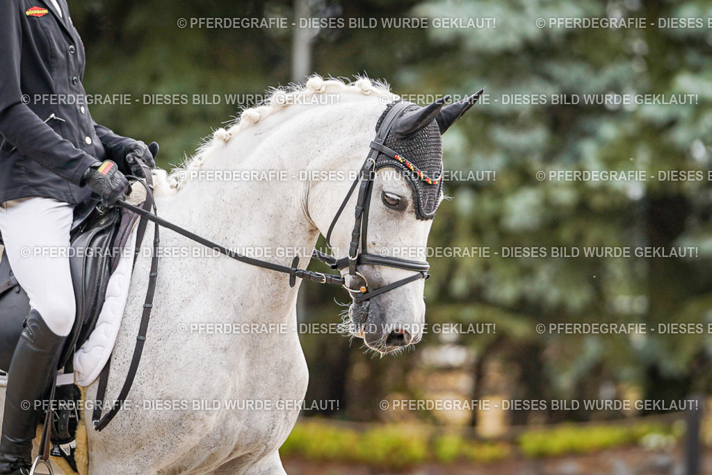 DSC02083 | Pferdegrafie