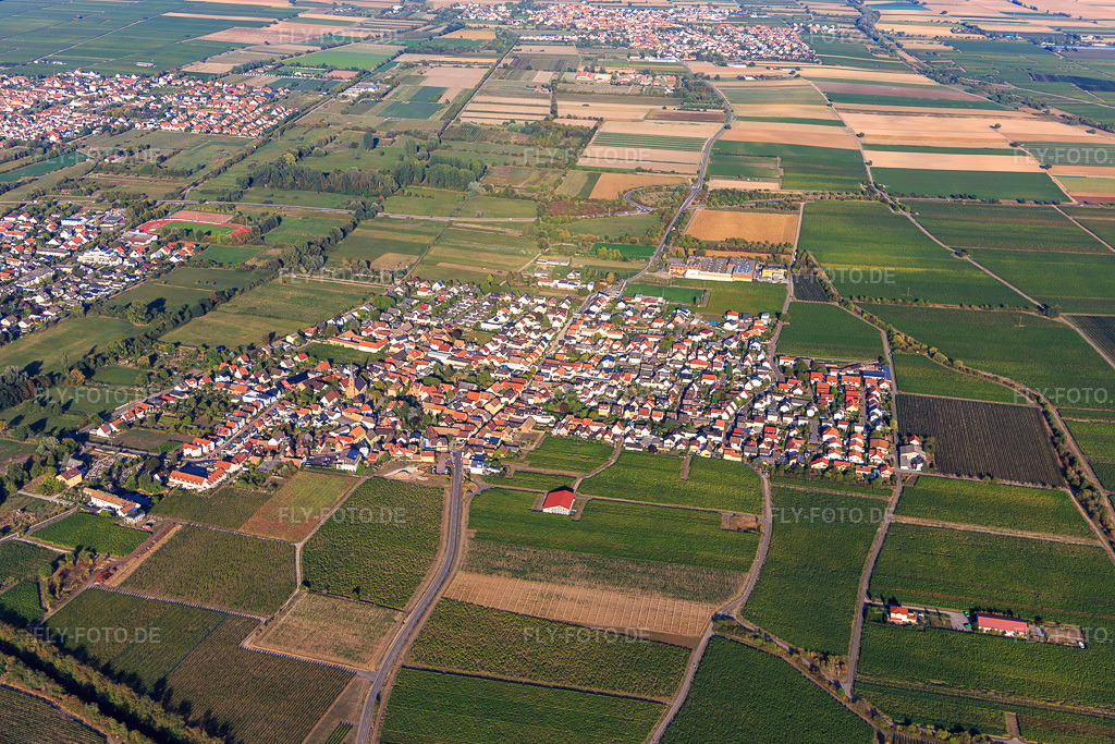 Luftbild: Winzerdorfansicht zwischen Weinbergen aus Südwesten in Ruppertsberg im Bundesland Rheinland-Pfalz in Deutschland. Foto: IMG_111808.jpg vom 16.09.2018 durch Werner Riehm/FLY-FOTO.de