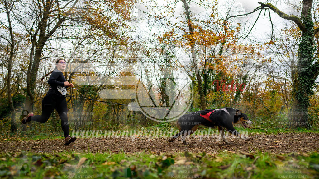 MompixPhotography_Bischwiller24_DI_CoursedeRelais-70 | PayLife