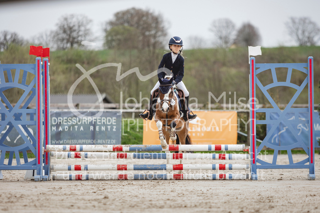 240330_Fruehlingsfest_Stilspring-WB-566 | Deine schönsten Turniermomente als professionelle Fotos! Entdecke hochwertige Pferdesport-Fotografie im Online-Shop. Jetzt Fotos finden & bestellen!