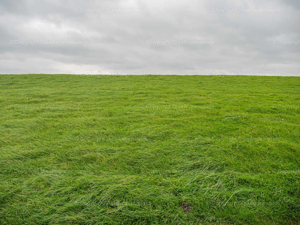 _1100199 | DieAugenweide Galerie, Bilder von Fotograf Ralf-Udo Thiele. Auswählen und bestellen auf verschiedenen Materialien und Größen. - Realisiert mit Pictrs.com