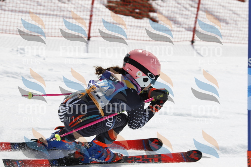 _U3G1692 | holidayphoto