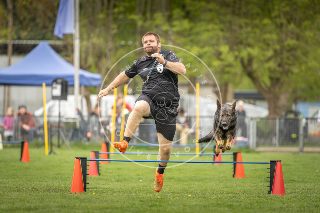 Pfotenfotografie_DV3A0712 | Hundefotografie, Tierfotograf, Pfotenfotografie, Fotoshooting Hund, Hunde Portrait, Hundesport, Hundeportraits, Heideshooting, Hunde, Sportfotograf, Hundefotograf, Turnierhundsport, THS,  - Realisiert mit Pictrs.com