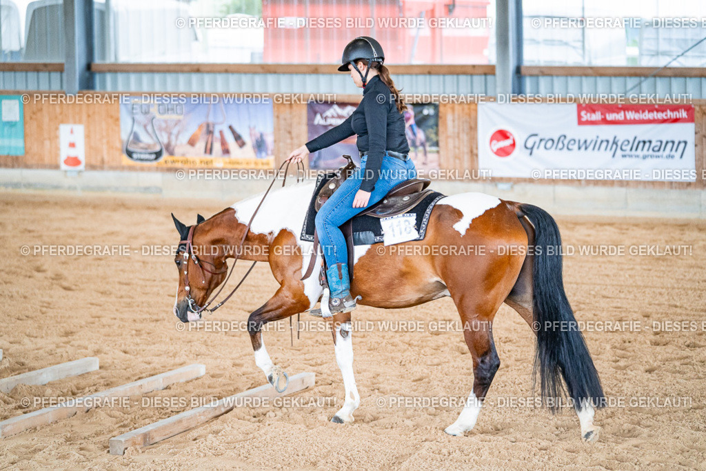 DSC09771 | Pferdegrafie