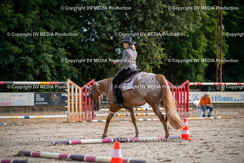 ZS3_9085 | dv-media-shop - Realisiert mit Pictrs.com