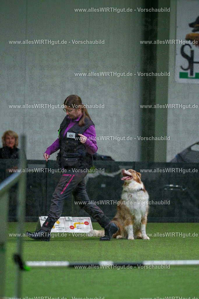 7R503871 | Professionelle Tierfotografie in Mönchengladbach von Daniel Wirth (allesWIRTHgut). Liebevolle & natürliche Bilder von Hunden & Katzen für unvergessliche Erinnerungen.