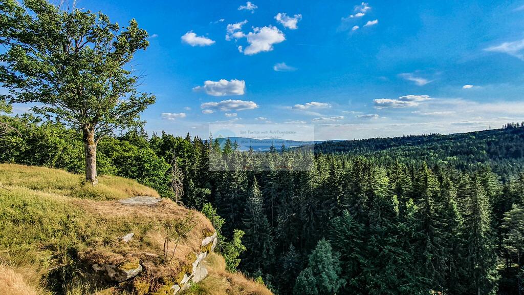 Epprechtstein im Sommer | Impressionen rund um Hochfranken - Frankenwald - Fichtelgebirge - Realisiert mit Pictrs.com