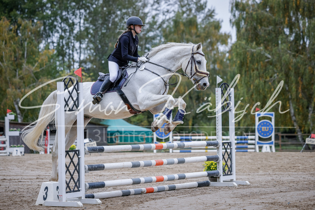 20251012-_3LI3195 | Tierfotografie Pferde, Hunde, Katzen, Haustiere.
Turnierfotografie Reitturniere, Reiten, Springreiten, Dressur in Hanau, dem Main-Kinzig-Kreis und dem Rhein-Main- Gebiet um Frankfurt