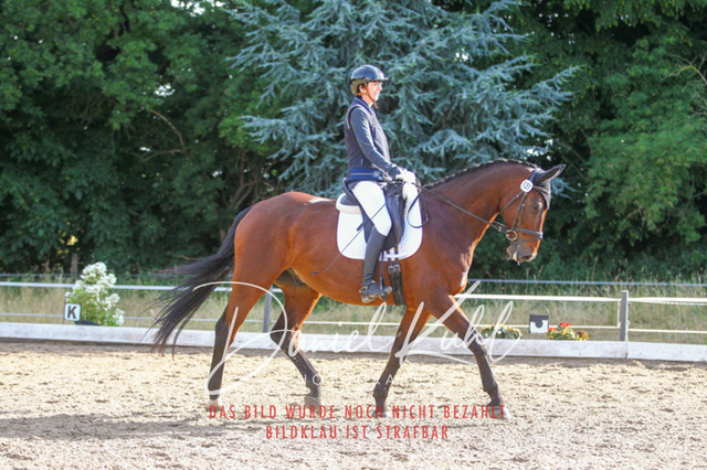 DKP45455 | Turniersportfotografie; Pferdefotografie; Dressurfotografie