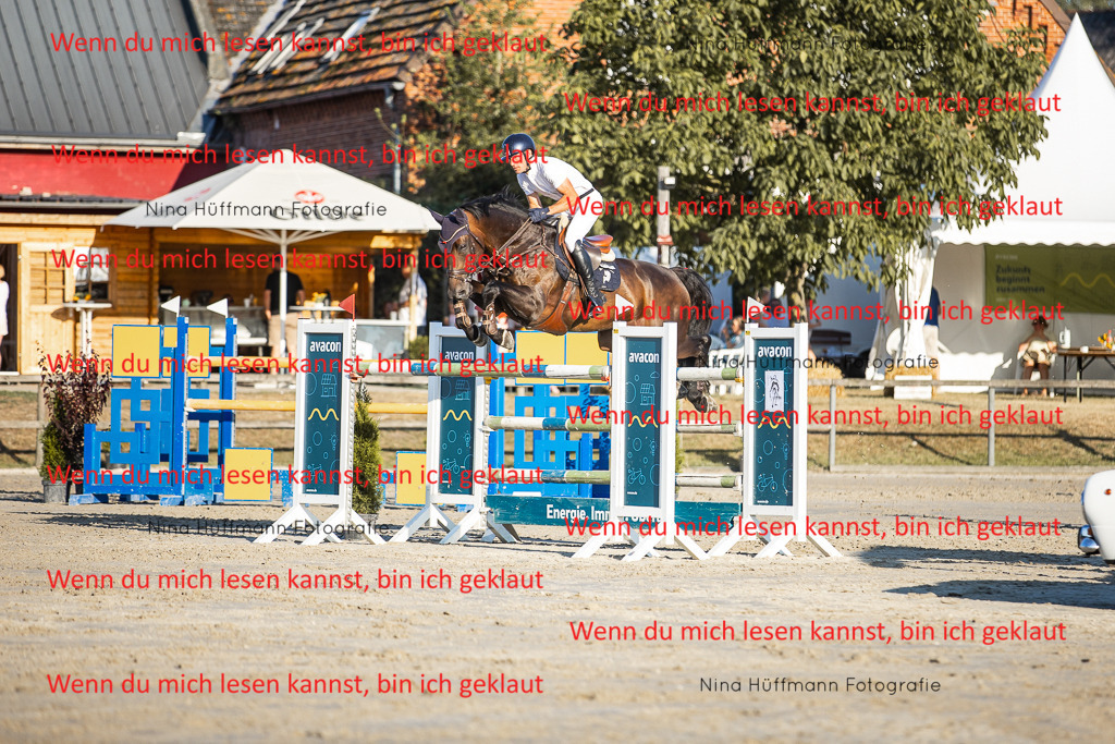 BK1A8854 | Turnierbilder Turnierfotos Nina Hüffmann Turnierfotografie Pferdefotografie Tierzeichnung Haustierzeichnung Pferdezeichnung Hundezeichnung Videograf  - Realisiert mit Pictrs.com