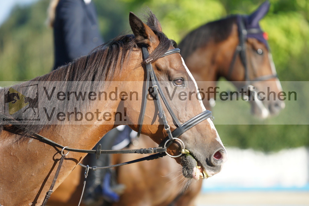 DSC09470 | equestrian-live-com