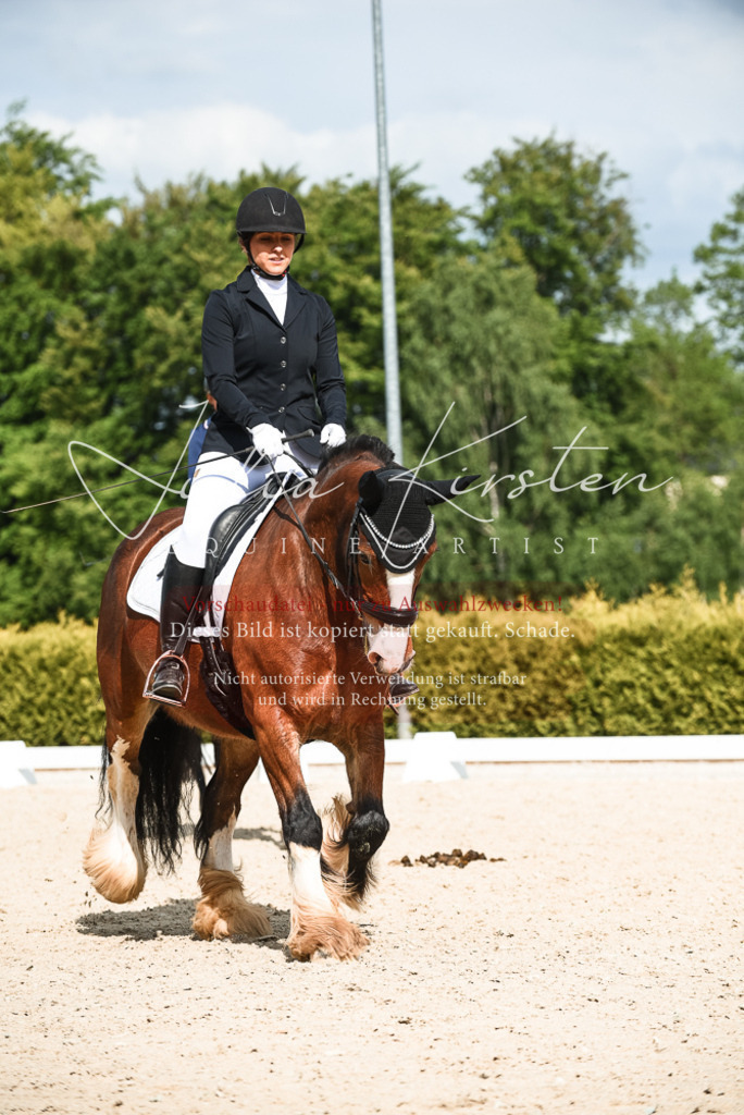 20230518_JK-Röhrsdorf-12-0265 | Pferde- und Turnierfotografie in Westsachsen. Pferdeportraits, Auftragszeichnungen und intuitive Kunst.