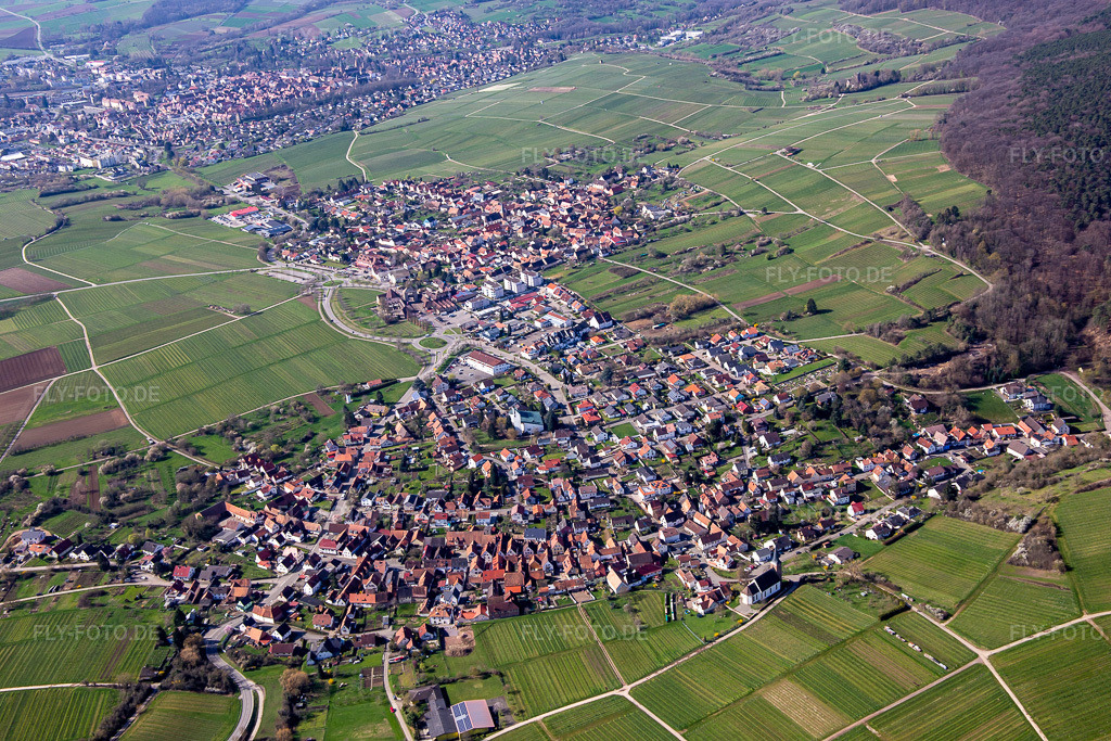 Luftbild: Ortsansicht von Nordosten im Ortsteil Rechtenbach in Schweigen-Rechtenbach im Bundesland Rheinland-Pfalz in Deutschland. Foto: IMG_136138.jpg vom 28.03.2023 durch Werner Riehm/FLY-FOTO.de
