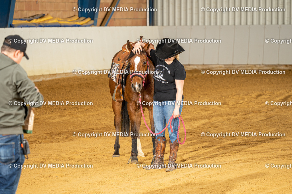 MIT00384 | dv-media-shop - Realisiert mit Pictrs.com