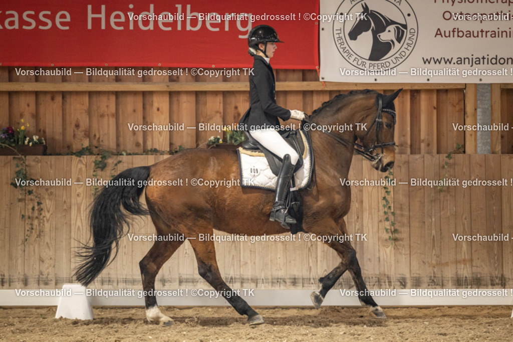 _D5A9619 | Emotionale Pferde- & People-Fotografie rund um Heidelberg, Leimen & Umgebung. Natürliche Fotos von Pferd, Mensch & Familie. Jetzt Termin sichern!