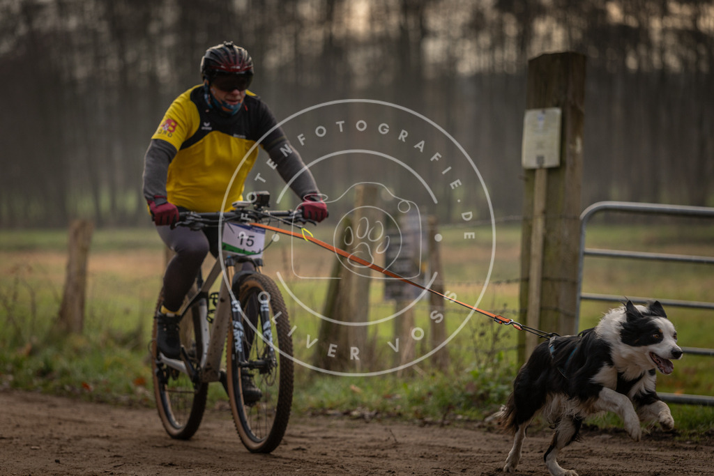 Pfotenfotografie_DV3A1851 | Hundefotografie, Tierfotograf, Pfotenfotografie, Fotoshooting Hund, Hunde Portrait, Hundesport, Hundeportraits, Heideshooting, Hunde, Sportfotograf, Hundefotograf, Turnierhundsport, THS,  - Realisiert mit Pictrs.com