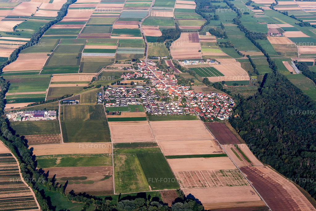 Luftbild: Landwirtschaftliche Nutzflächen und Feldgrenzen umsäumen das Siedlungsgebiet des Dorfes in Freisbach im Bundesland Rheinland-Pfalz in Deutschland. Foto: IMG_109600.jpg vom 31.07.2018 durch Werner Riehm/FLY-FOTO.de