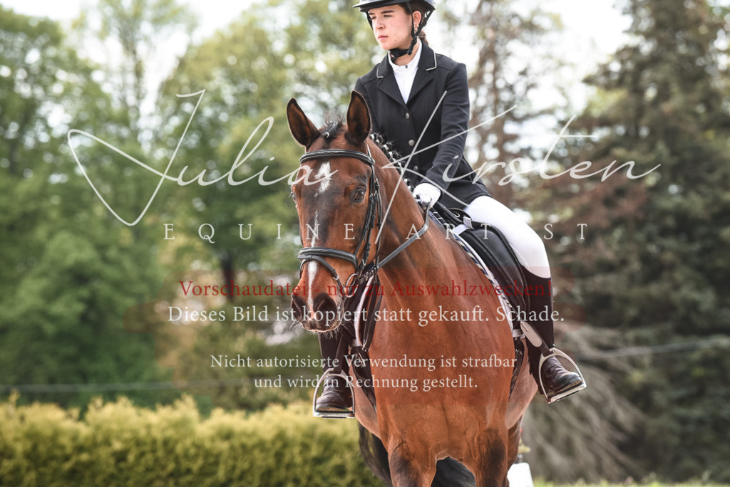 20230518_JK-Röhrsdorf-10-158 | Pferde- und Turnierfotografie in Westsachsen. Pferdeportraits, Auftragszeichnungen und intuitive Kunst.