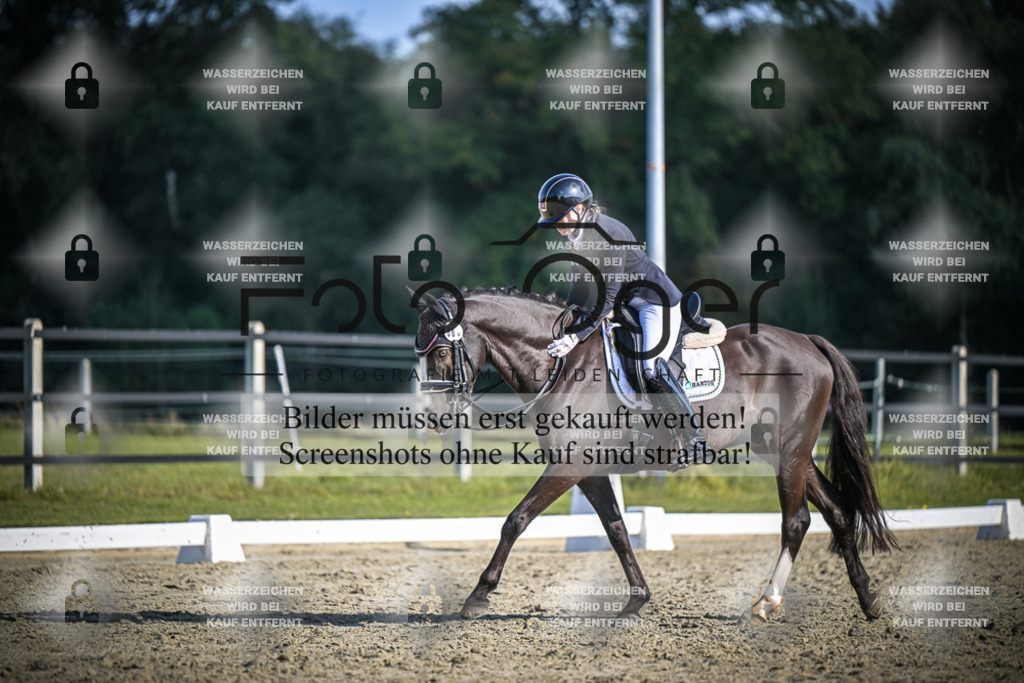 DOS_3355 | Entdecke hochwertige Reitturnierfotos von Foto Oger. Professionell, emotional und authentisch – jetzt Lieblingsmomente im Shop bestellen.Deutschlandweite Turnierfotografie. - Realisiert mit Pictrs.com