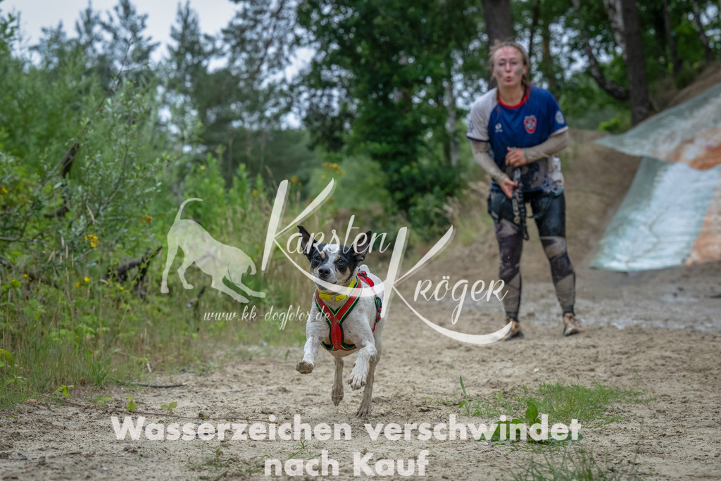 1656_ZZ91562-Bearbeitet | kk-dogfotos