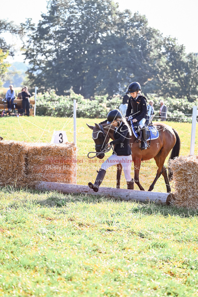 DSC_0226 | Pferde- und Turnierfotografie in Westsachsen. Pferdeportraits, Auftragszeichnungen und intuitive Kunst.