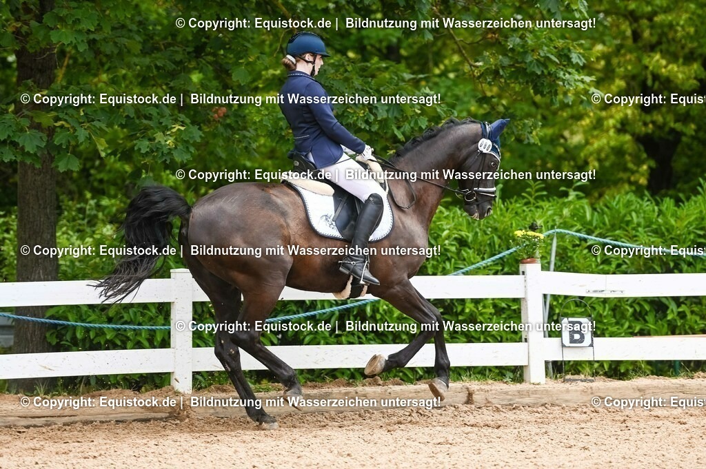 20230716_03_Dressurprfg. Kl.L - Tr._0638 | equistock