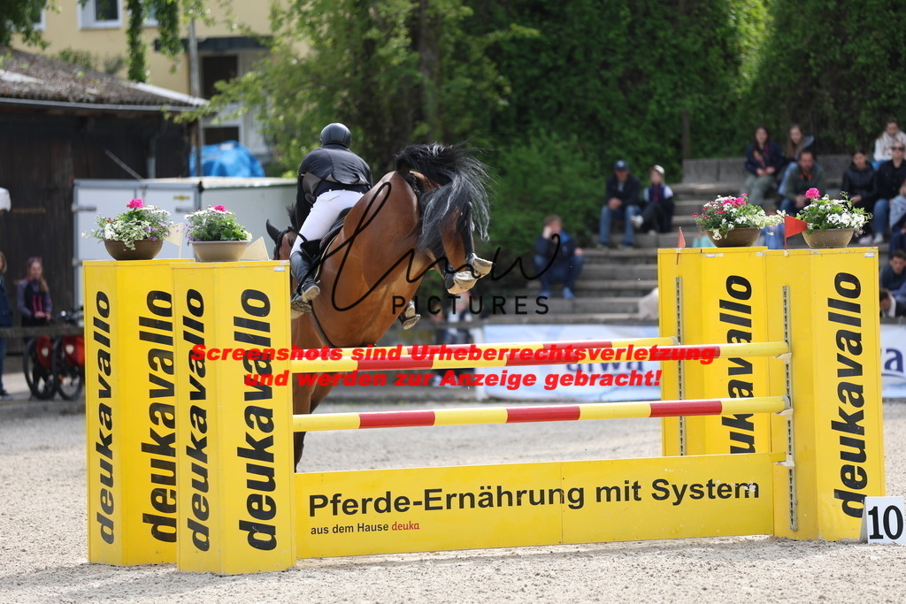 A40A4888 | lmwpictures - Realisiert mit Pictrs.com